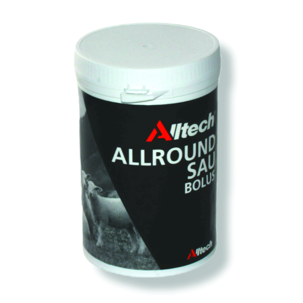 boks men allround sau boluser