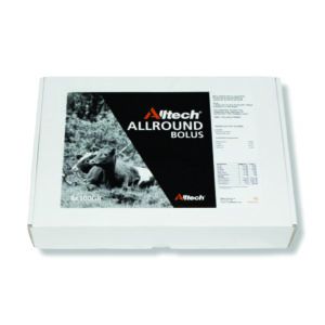 Allround Eske