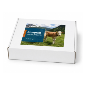 Eske med Blueprint Premium Block