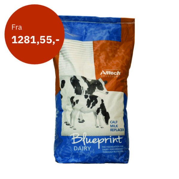 Bluerpint melkeerstatning til kalv med prisen på