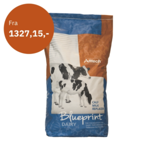 Blueprint melkeerstatning til kalv