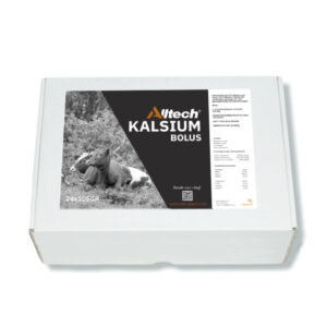 Eske med 24 kalsium boluser